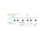 EvoControl: Multi-Frequency Bi-Level Control for High-Frequency Continuous Control